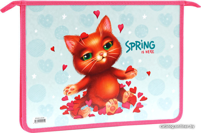 

Папка для тетрадей ArtSpace Spring Cat ПТ-815_42225