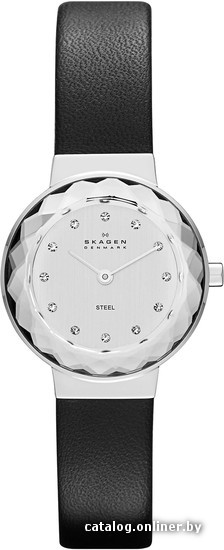 

Наручные часы Skagen SKW2005