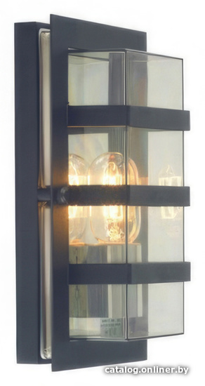 

Уличный настенный светильник Norlys Boden 862B
