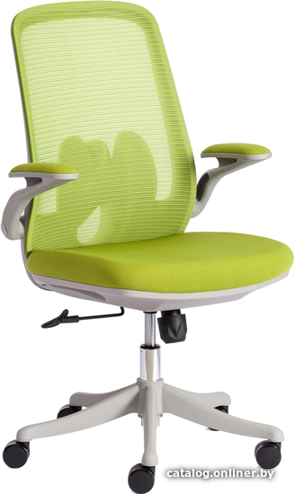 

Кресло TetChair Mesh-10 (зеленый)
