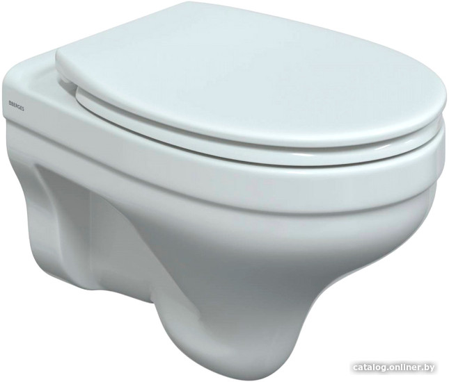 

Унитаз подвесной Berges Wasserhaus Albit S Rimless 082046 (без сиденья)