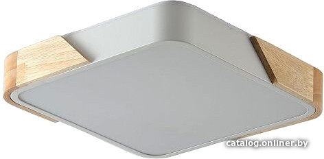 

Светильник-тарелка Zortes Alberro ZRS.01285.48