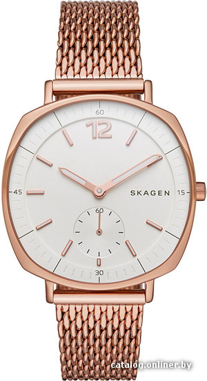 

Наручные часы Skagen SKW2401