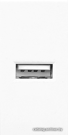 

Розетка USB Orno OR-GM-9010/W/USB