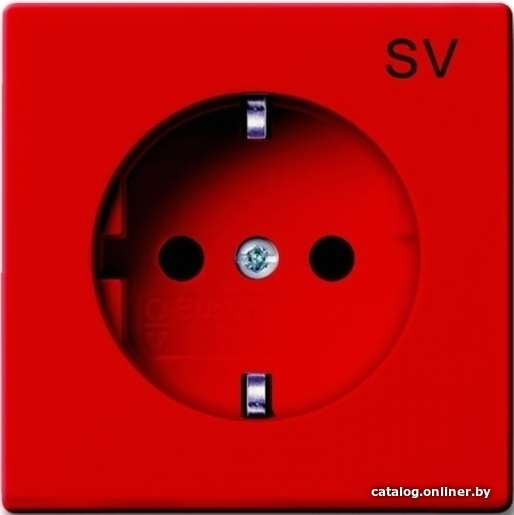 

Розетка ABB Basic 55 2011-0-6151 (красный)