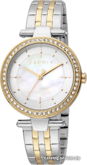 

Наручные часы Esprit ES1L153M2055