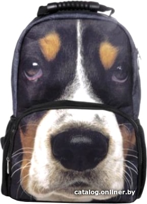 

Школьный рюкзак Hatber Trend Line Buddy Dog