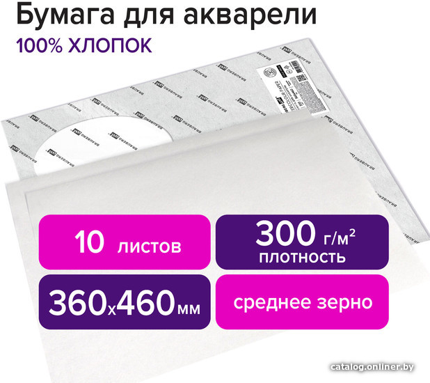 

Набор бумаги для рисования BRAUBERG Art Premiere 113226 (10 л)