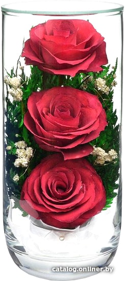 

Цветы, букеты Natural Flower Products Композиция из красных роз JZY