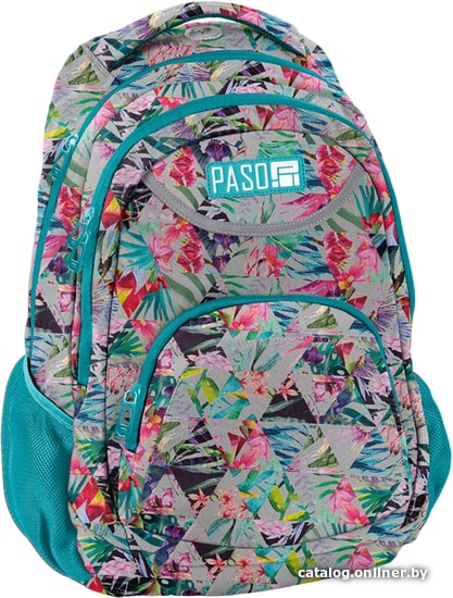 

Школьный рюкзак Paso Unique PPMU19-2708/16