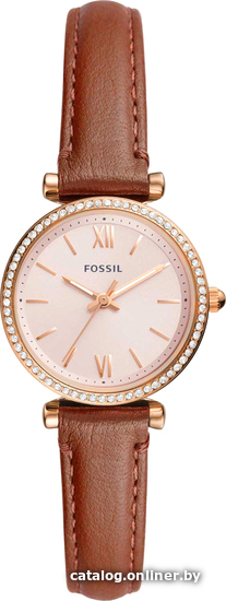 

Наручные часы Fossil Carlie ES5112