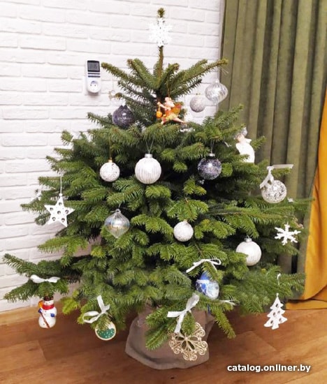 

Ель HD Nordic Trees Nordmann Датская Премиум (0.8-1 м, в горшке)