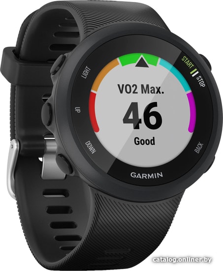 

Умные часы Garmin Forerunner 45 (черный)