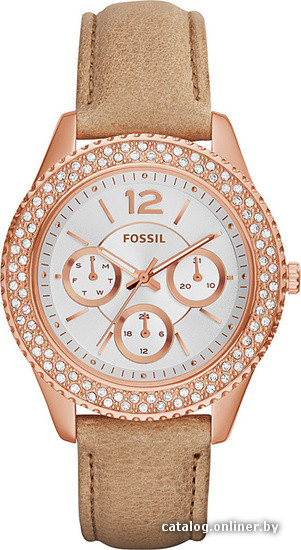 

Наручные часы Fossil ES3816