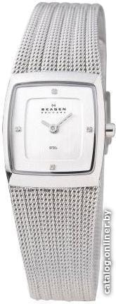 

Наручные часы Skagen 380XSSS1
