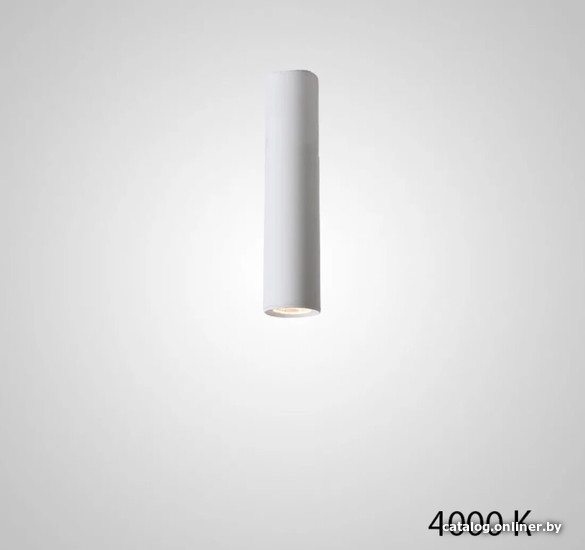 

Точечный светильник ImperiumLoft Pan01 212628-23