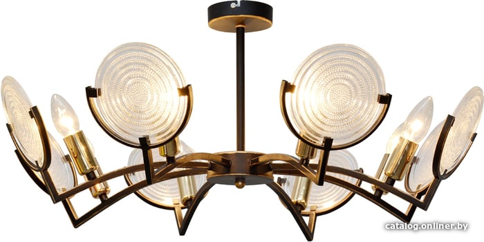 

Подвесная люстра Toplight Roxana TL1194X-08BK
