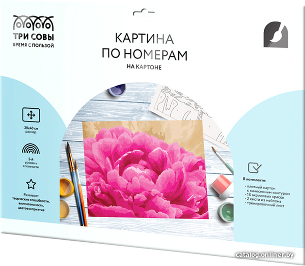 

Картина по номерам Три совы Пион КК_44067