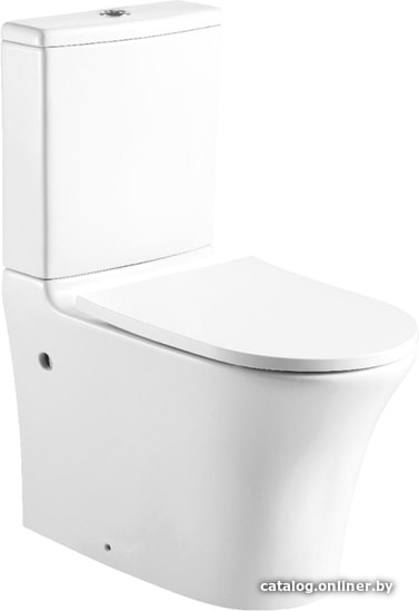 

Унитаз напольный Bravat Pura CX21214UW-P-RUS+CY21214W-RUS