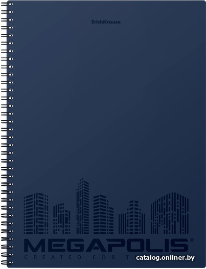 

Набор тетрадей Erich Krause Megapolis синий 80 л клетка 080245478-45947 (2 шт)