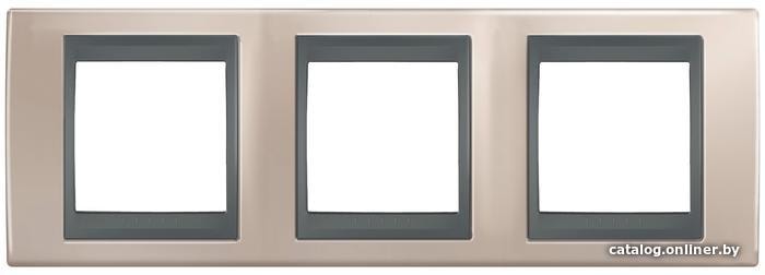 

Рамка Schneider Electric Unica MGU66.006.296