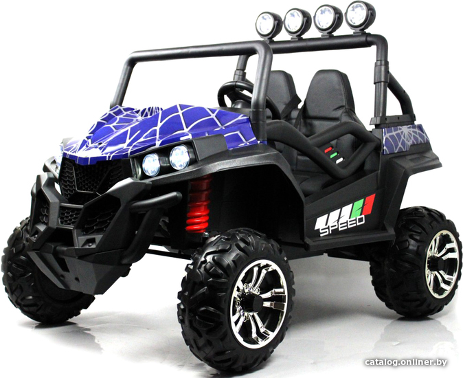 

Электробагги RiverToys T888TT 4WD 24V (синий Spider)