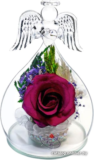 

Цветы, букеты Natural Flower Products Композиция из бордовых розы VhZYk