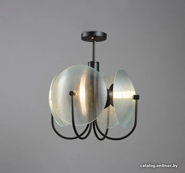 

Подвесная люстра ImperiumLoft Reflex-b01 178375-26