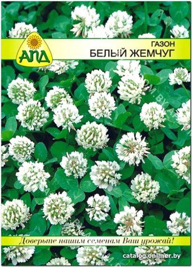 

Семена АПД Белый Жемчуг 500 г