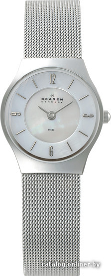 

Наручные часы Skagen 233XSSS