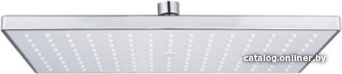 

Душевая лейка Rose RH42F