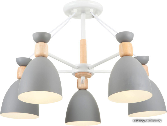 

Люстра средней высоты F-Promo Delia FR5033CL-05W