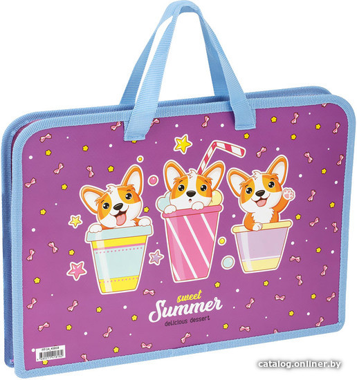 

Папка-портфель ArtSpace Sweet ПТ-14_43818