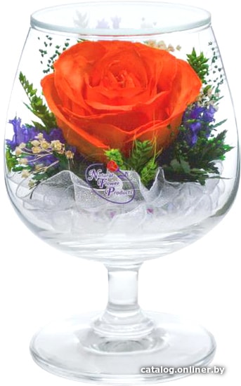 

Цветы, букеты Natural Flower Products Композиция из оранжевых роз NZYv