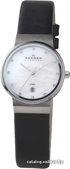 

Наручные часы Skagen 355SSLW