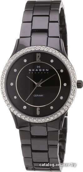 

Наручные часы Skagen 347SBXBC