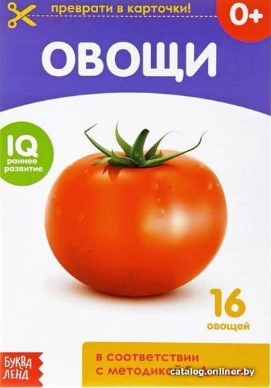 

Учебное пособие издательства Буква-ленд Овощи (Столбова Анна Сергеевна)