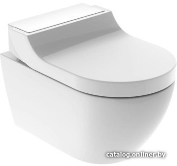 

Унитаз Geberit AquaClean Tuma [146.294.11.1]
