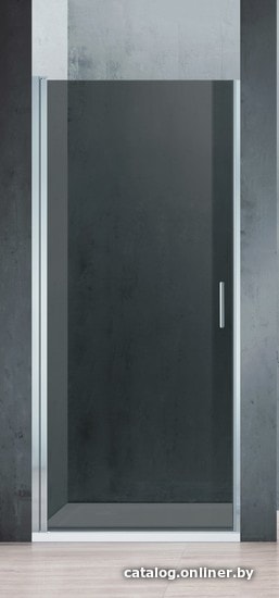 

Душевая дверь Adema Nap-70 (тонированное стекло)