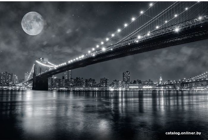

Виниловые обои Citydecor Бруклинский мост 400x270