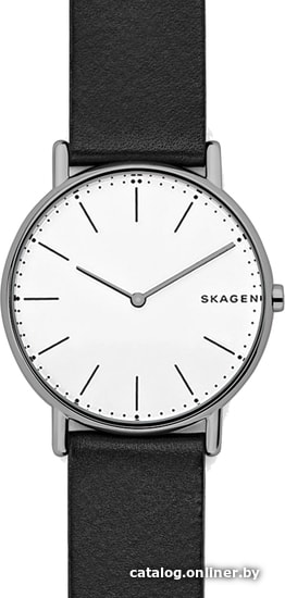 

Наручные часы Skagen SKW6419