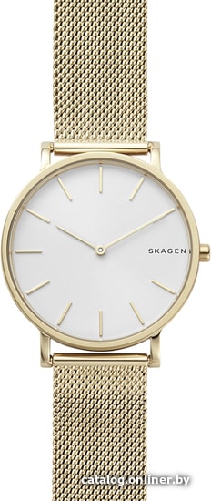 

Наручные часы Skagen SKW6443