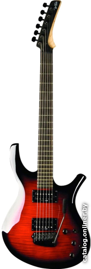 

Электрогитара Parker Guitars PDF85FWSB