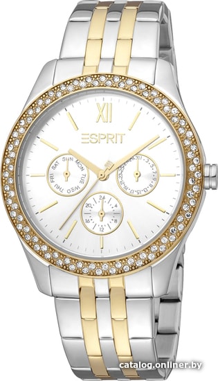 

Наручные часы Esprit ES1L201M1045