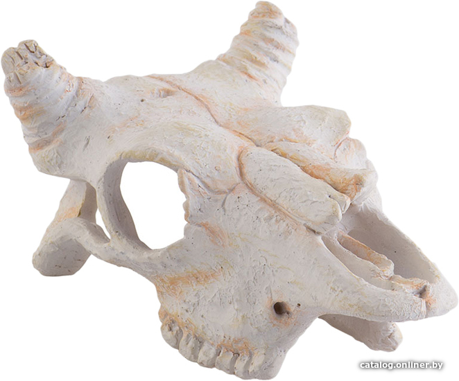 

Декорация Exo Terra Buffalo Skull PT2925