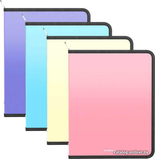 

Набор папок Erich Krause Matt Pastel A4+ ассорти 55062 (4 шт)