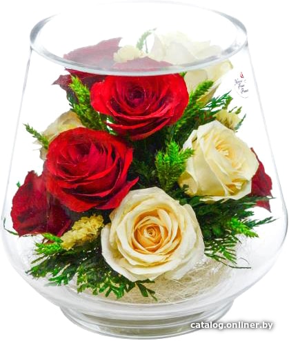

Цветы, букеты Natural Flower Products Композиция из красных и белых роз RSY5j