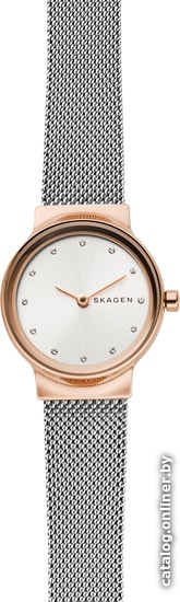 

Наручные часы Skagen SKW2716