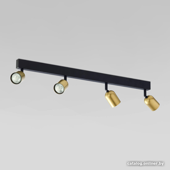

Припотолочная люстра TK Lighting Top 1021