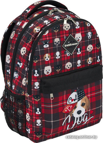 

Школьный рюкзак Erich Krause EasyLine 20L Cute Dog 51627